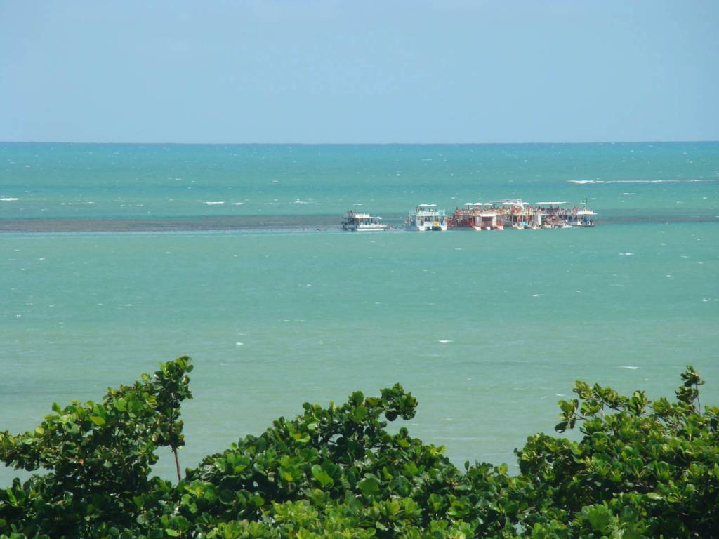 Jhon Cruz  Ubatuba SP