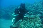 A Ana se diverte com corais em forma de tambores em Babylon, na costa de Saba - Caribe A Ana se diverte com corais em forma de tambores em Babylon, na costa de Saba - Caribe