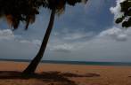 Cara de Bahia, mas é a praia de Grande Anse, em Basse Terre, em Guadalupe, no Caribe Cara de Bahia, mas é a praia de Grande Anse, em Basse Terre, em Guadalupe, no Caribe