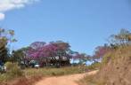 Estrada em São João Batista, na região da Serra da Canastra - MG Estrada em São João Batista, na região da Serra da Canastra - MG