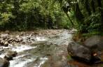 Mata tropical no Parque Nacional em Basse Terre, em Guadalupe, no Caribe Mata tropical no Parque Nacional em Basse Terre, em Guadalupe, no Caribe