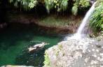 Nadando em deliciosa piscina natural no Parque Nacional em Basse Terre, em Guadalupe, no Caribe Nadando em deliciosa piscina natural no Parque Nacional em Basse Terre, em Guadalupe, no Caribe
