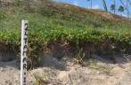 Ponto de desova de Tartarugas em Arembepe - BA Ponto de desova de Tartarugas em Arembepe - BA