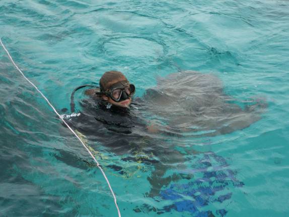A Ana segura uma arraia em Stingray City, em Grand Cayman A Ana segura uma arraia em Stingray City, em Grand Cayman