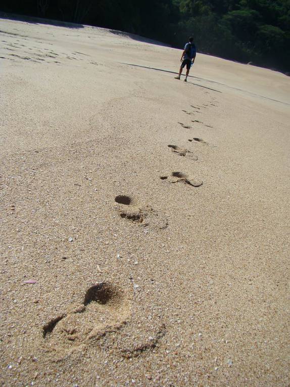 A bela Praia do Simão em Ubatuba - SP A bela Praia do Simão em Ubatuba - SP