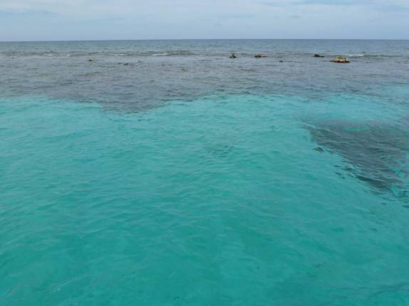 A famosa Stingray City, em Grand Cayman A famosa Stingray City, em Grand Cayman