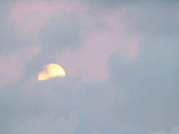 A lua apareceu durante o trecho de canoa pelo mangue - Juréia/SP A lua apareceu durante o trecho de canoa pelo mangue - Juréia/SP