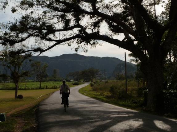 A tranquila área rural de Viñales, no oeste de Cuba A tranquila área rural de Viñales, no oeste de Cuba