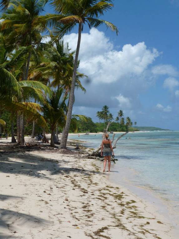 Areia branca, coqueiros e mar azul: estamos perto do paraíso em Sainte-Anne, no litoral sul de Grande Terre, em Guadalupe Areia branca, coqueiros e mar azul: estamos perto do paraíso em Sainte-Anne, no litoral sul de Grande Terre, em Guadalupe