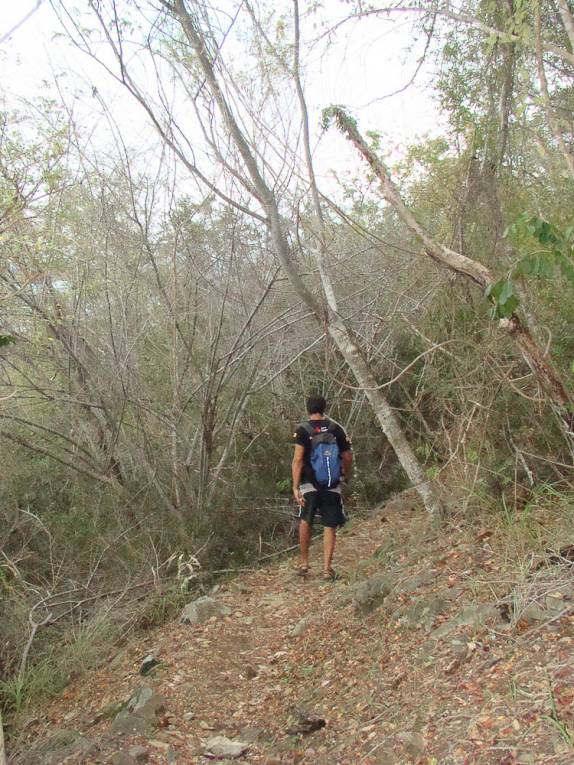 Caminhada de Cruz Bay até Caneel Bay - USVI Caminhada de Cruz Bay até Caneel Bay - USVI