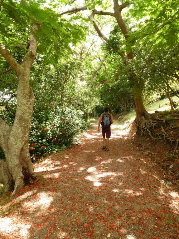 Caminhando em Pigeon Island, parque próximo à Rodney Bay, norte de Santa Lúcia Caminhando em Pigeon Island, parque próximo à Rodney Bay, norte de Santa Lúcia