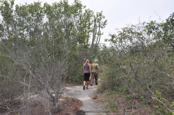 Caminhando na caatinga no P.N da Serra do Catimbau, próximo à Buique - PE Caminhando na caatinga no P.N da Serra do Catimbau, próximo à Buique - PE