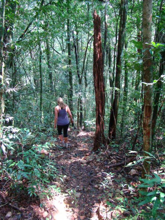 Descendo a trilha do Pico do Papagaio, na Ilha Grande - RJ Descendo a trilha do Pico do Papagaio, na Ilha Grande - RJ