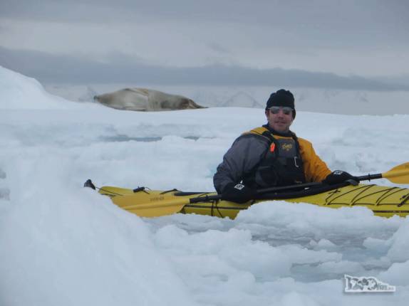 Felicidade ao encontrar uma foca crabeater sobre bloco de gelo em Kinnes Cove, na Antártida Felicidade ao encontrar uma foca crabeater sobre bloco de gelo em Kinnes Cove, na Antártida