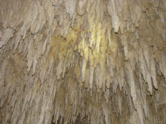 Formações dentro da caverna Água Suja, no PETAR Formações dentro da caverna Água Suja, no PETAR