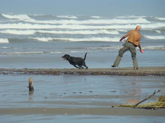 Homem e seu cachorro se divertem na praia da Barra do Ribeira em Iguape=SP Homem e seu cachorro se divertem na praia da Barra do Ribeira em Iguape=SP