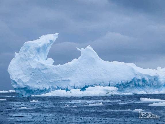 Iceberg flutua em Kinnes Cove, na Antártida Iceberg flutua em Kinnes Cove, na Antártida