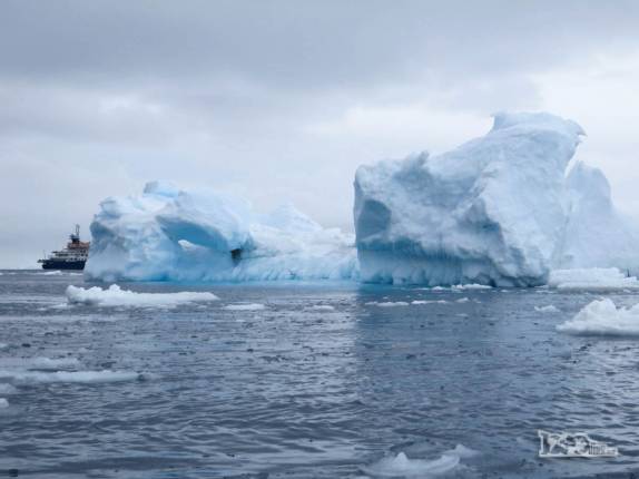 Icebergs e o Sea Spirit flutuam Kinnes Cove, na Antártida, local do nosso caiaque Icebergs e o Sea Spirit flutuam Kinnes Cove, na Antártida, local do nosso caiaque