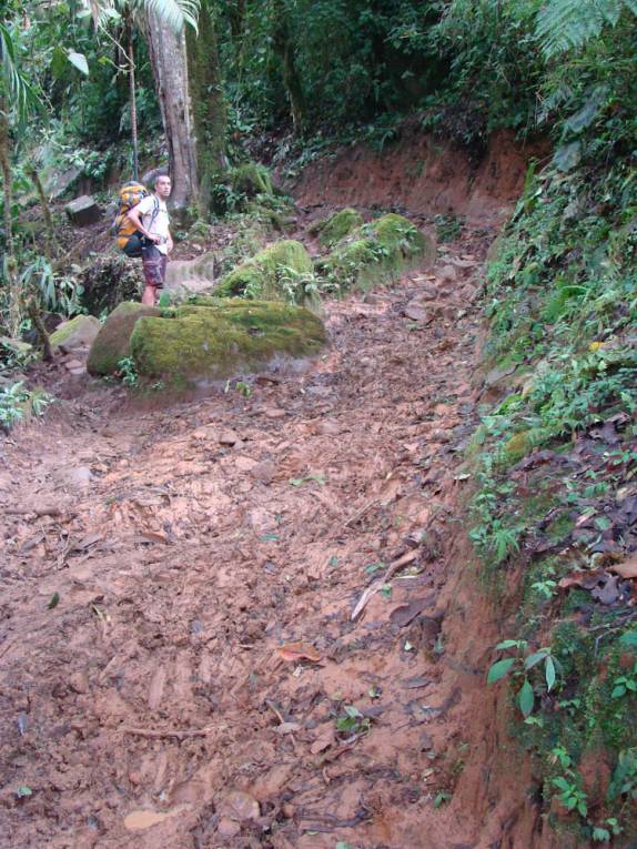 Muito barro no inÃcio da trilha no Parque Nacional de Chirripó, na Costa Rica Muito barro no inÃcio da trilha no Parque Nacional de Chirripó, na Costa Rica