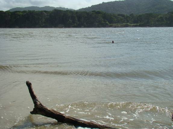 Nadando na Foz do Rio Ribeira em Iguape-SP Nadando na Foz do Rio Ribeira em Iguape-SP