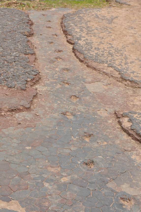 Pegadas de dinossauros, no Vale dos Dinossauros, em Sousa - PB Pegadas de dinossauros, no Vale dos Dinossauros, em Sousa - PB