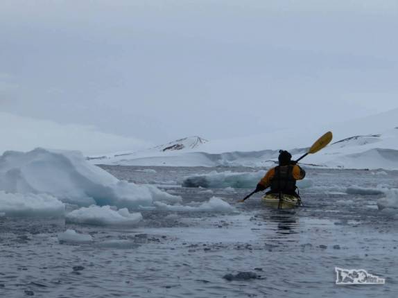 Remando nos mares gelados da Antártida, Kinnes Cove Remando nos mares gelados da Antártida, Kinnes Cove