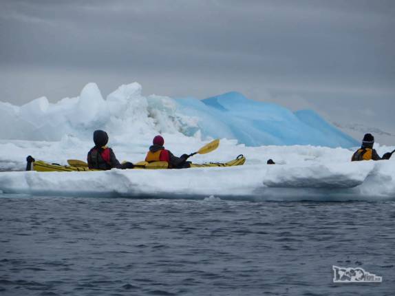 Remando rumo ao bloco de gelo azul em Kinnes Cove, na Antártida Remando rumo ao bloco de gelo azul em Kinnes Cove, na Antártida