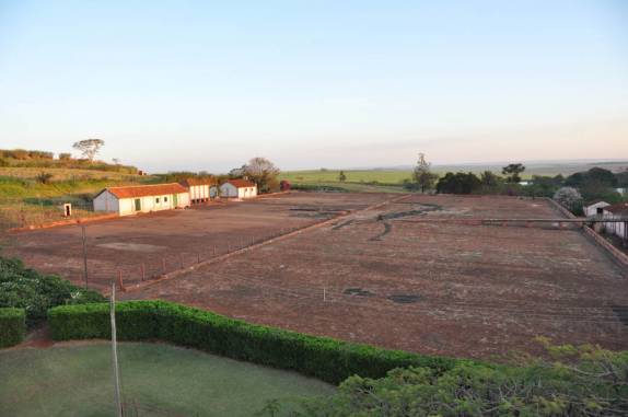 Terrero de café na fazenda em Ribeirão Preto - SP Terrero de café na fazenda em Ribeirão Preto - SP