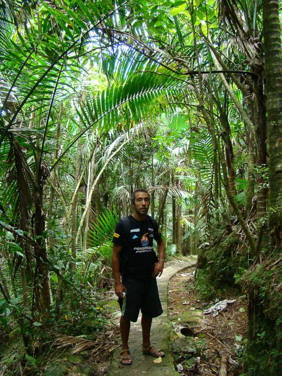 Trilha em El Yunque - Porto Rico Trilha em El Yunque - Porto Rico