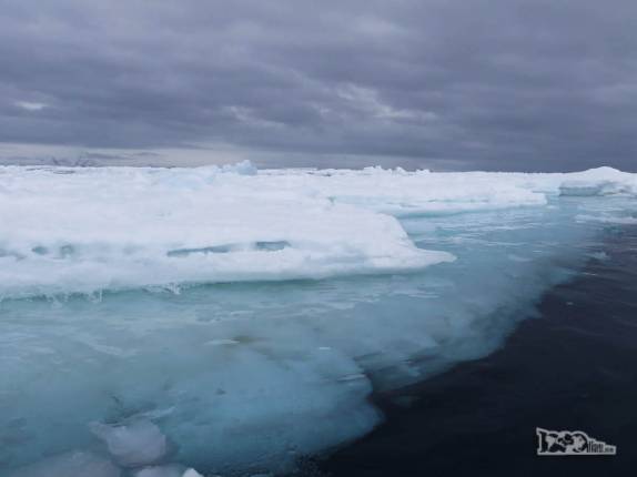 Um iceberg, gelo fora e dentro d'água, em Kinnes Cove, na Antártida Um iceberg, gelo fora e dentro d'água, em Kinnes Cove, na Antártida