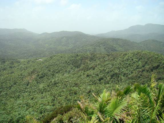 Vista do parque El Yunque, em Porto Rico Vista do parque El Yunque, em Porto Rico