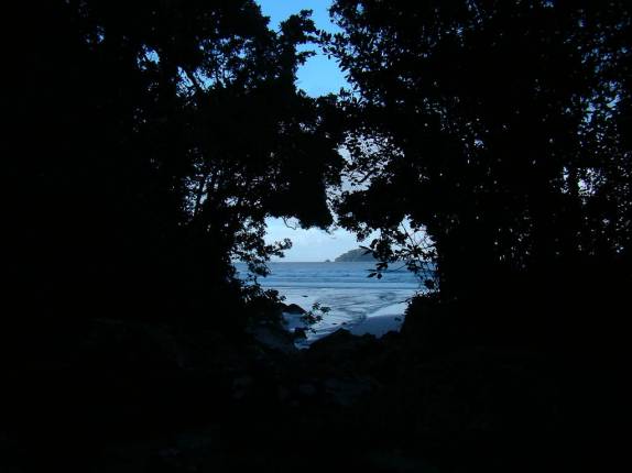 Visão da praia do Arpoador,vista através de uma janela na vegetação densa da Mata Atlântica Visão da praia do Arpoador,vista através de uma janela na vegetação densa da Mata Atlântica