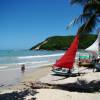 Jangadas na praia de Ponta Negra, em Natal - RN