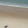 Tomando sol na praia do Amor, em Praia da Pipa - RN