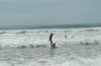 A Ana surfando na praia de Santa Teresa, na península de Nicoya - Costa Rica A Ana surfando na praia de Santa Teresa, na península de Nicoya - Costa Rica