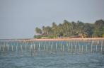 A Ponta do Mutá, em Barra Grande, Península do Maraú - BA