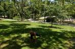 Alongamento no Central Park, numa magnÃfica manhã de verão em Nova Iorque - Estados Unidos Alongamento no Central Park, numa magnÃfica manhã de verão em Nova Iorque - Estados Unidos