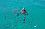 Ana entre peixes na Ilha Comprida, em Parati - RJ