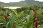 Antiga cratera vulcânica, hoje um lago no centro do parque Grand Etang, em Granada, no Caribe Antiga cratera vulcânica, hoje um lago no centro do parque Grand Etang, em Granada, no Caribe
