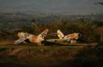 Antigos aviões de guerra em campo próximo à Cascata del Nicho, região de Cienfuegos, em Cuba Antigos aviões de guerra em campo próximo à Cascata del Nicho, região de Cienfuegos, em Cuba