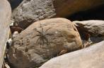 Aranha se aquecendo no sol, no Parque Estadual da Serra do Intendente, em Tabuleiro - MG