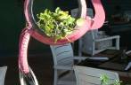 Arte reciclável: um pneu virou flamingo