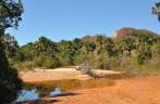 Atravessando a Vereda 'Buraco' próximo à Chapada Gaúcha - MG