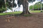 Balanço em árvore do Quadrado, em Trancoso - BA