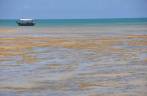 Barcos visitam as pscinas de maré baixa na praia de Moreré, na Ilha de Boipeba - BA