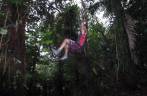 Brincando com cipó na trilha do Boiling Lake, no Trois Pitons National Park, em Dominica, no Caribe Brincando com cipó na trilha do Boiling Lake, no Trois Pitons National Park, em Dominica, no Caribe