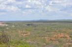 Caatinga seca ao redor do Lajedo Manoel de Souza, na região de Cabaceiras - PB