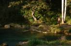 Caminhada na região da Cascata del Nicho, próxima à Cienfuegos, em Cuba Caminhada na região da Cascata del Nicho, próxima à Cienfuegos, em Cuba