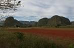 Campo cultivado em Viñales, no oeste de Cuba