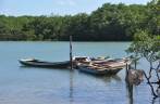 Canoas no rio Caraíva - BA